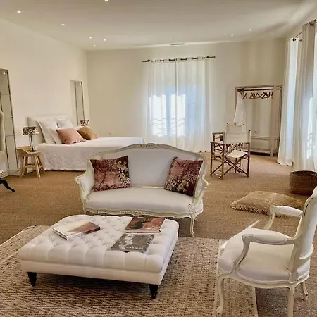 Maison 22 Personnes De 600 M² Avec Piscine & Parc